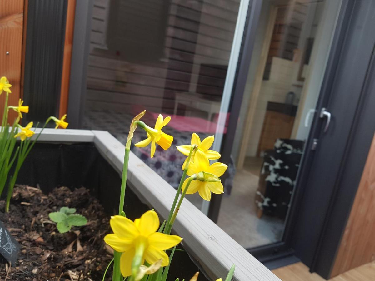 Angers Green Lodge Kültér fotó